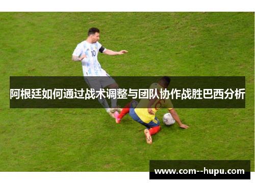 阿根廷如何通过战术调整与团队协作战胜巴西分析