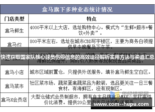 快速获取国家队核心球员伤停信息的高效途径解析实用方法与渠道汇总 快速获取国家队核心球员伤停信息的高效途径解析实用方法与渠道汇总
